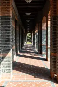 這個校園很美，而且沒有圍牆