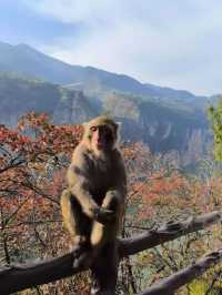重慶三峽龍脊,中國最美的徒步步道
