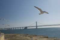 私藏大連海景攻略