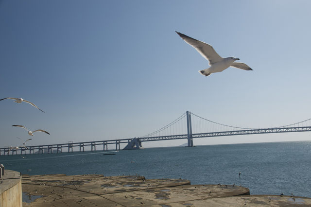 私藏大連海景攻略 私藏大連海景攻略
