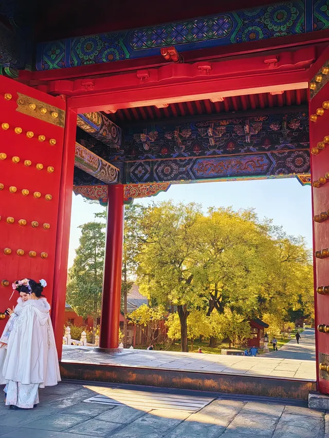 銀杏飄落是獨屬於北京的浪漫