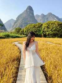 風吹麥浪 小紅書跟風最成功的一次好chill