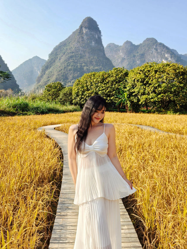 風吹麥浪 小紅書跟風最成功的一次好chill 風吹麥浪 小紅書跟風最成功的一次好chill