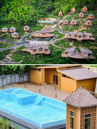 Lying down watching the entire wave of matcha, this homestay is really addictive