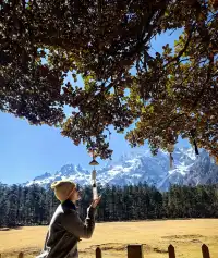 一日攬三景:帶娃暴走玉龍雪山雲杉坪藍月谷