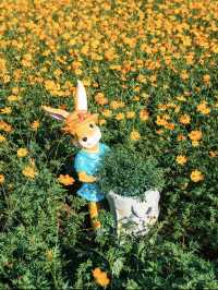 深圳0元打卡:黃秋英花海+萌系雕塑太出片