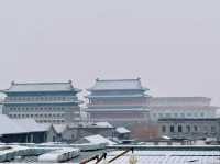 初雪輕吻北京,繪就靜謐詩意畫卷