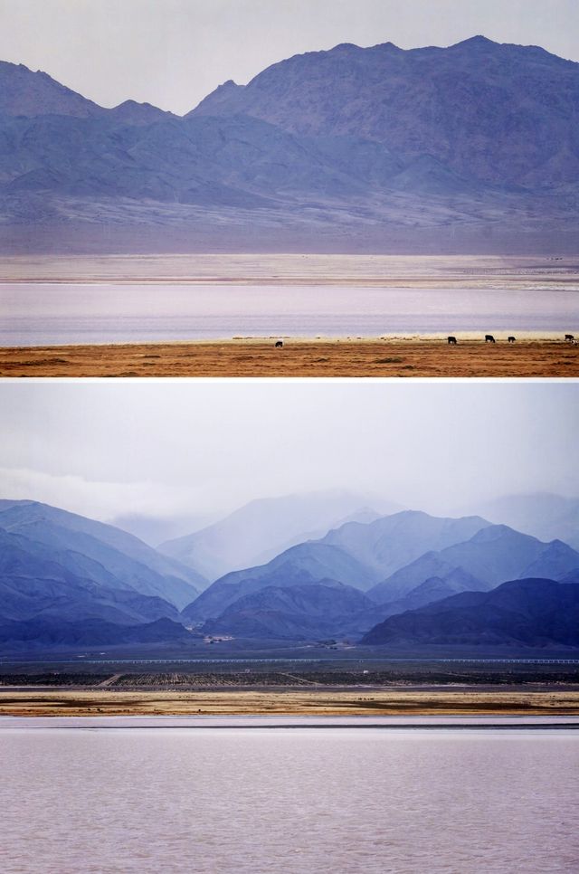 七彩鹽湖與雪山輝映的絕美景觀 七彩鹽湖與雪山輝映的絕美景觀