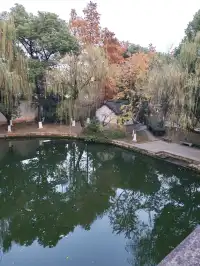 滿城盡飛黃金葉，紹興古城河清園秋色正迷人