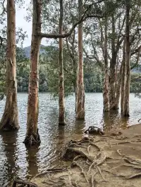 新手徒步路線|城門水塘(附攻略)