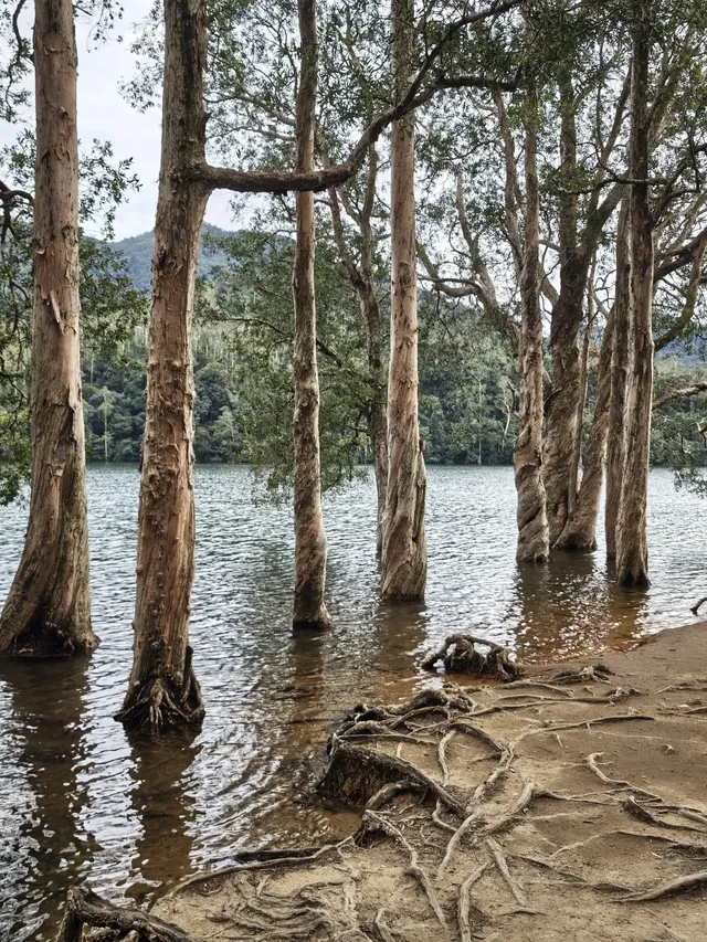 新手徒步路線|城門水塘(附攻略) 新手徒步路線|城門水塘(附攻略)