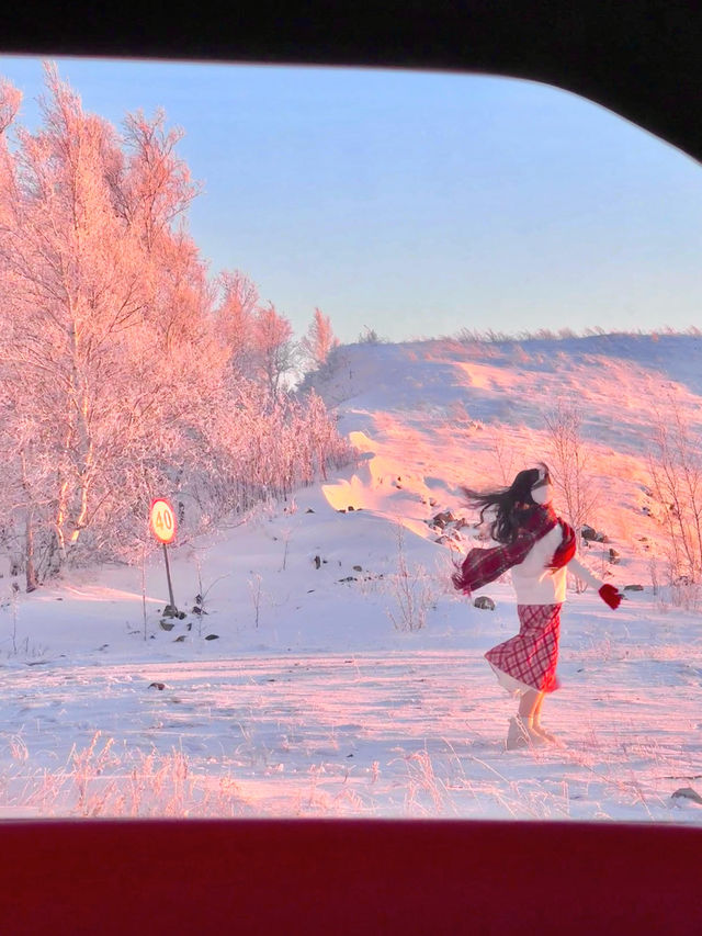 用18張Live打開呼倫貝爾的冬天!封神了! 用18張Live打開呼倫貝爾的冬天!封神了!