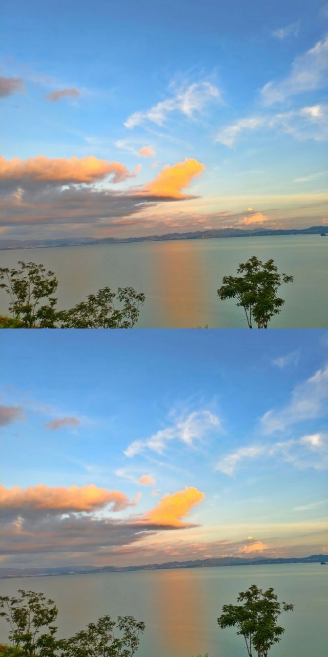 兩天遊雲南,一生困於此!誰懂啊! 兩天遊雲南,一生困於此!誰懂啊!