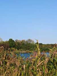 海寧親子遊必打卡