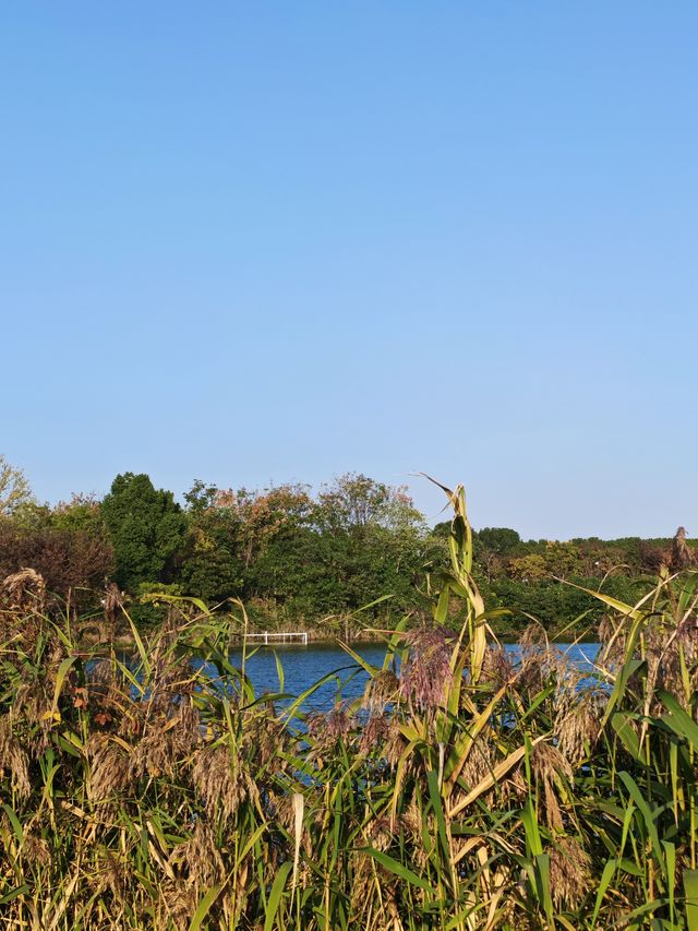 海寧親子遊必打卡 海寧親子遊必打卡