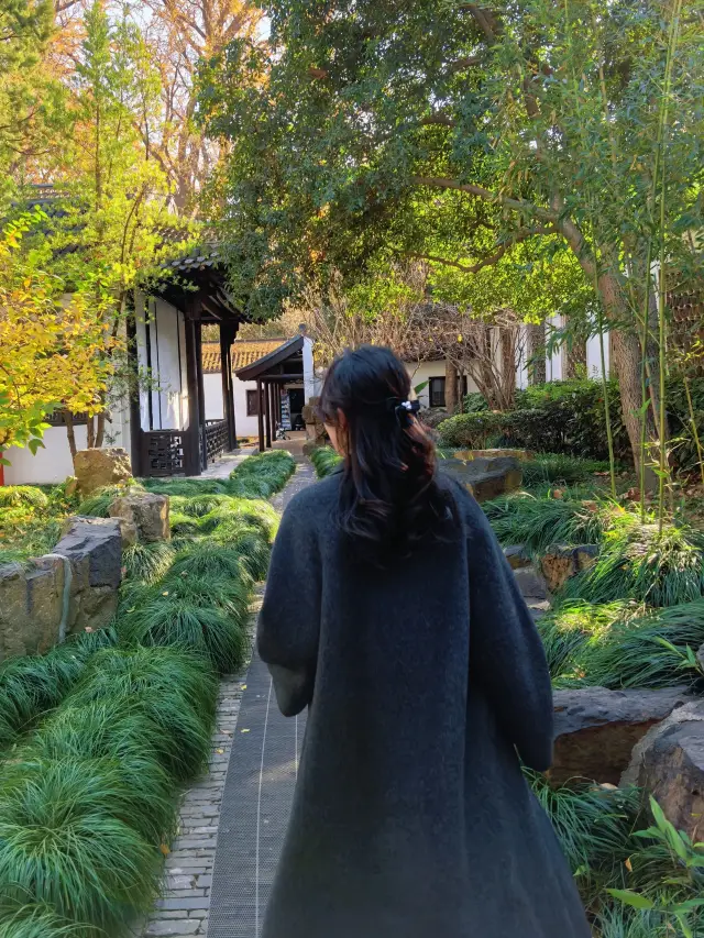 Yangzhou Winter Exclusive: A Stroke of Gilding at the Shigong Shrine