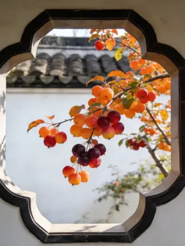 Begonia Fruit Turns Red: Nanjing Mochou Lake's Winter Exclusive "Amber Little Lanterns"