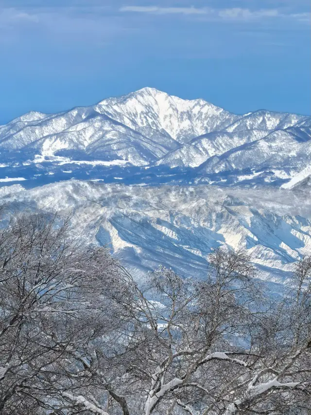 Nagano Snow Wonderland｜The beauty here makes even Hokkaido take a second look