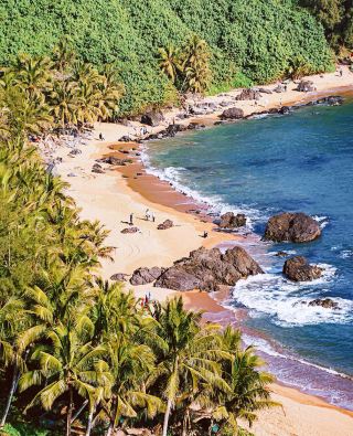 제비동굴: 만닝에 숨겨진 "겨울 야자수 숲 바위 아치" 바다 전망 명소
