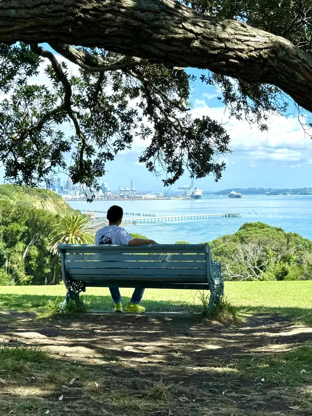 A unique photo spot in Auckland: the same seaside bench from "If Clouds Know"