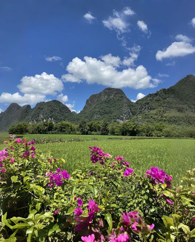 親子遊崇左山水不費媽!