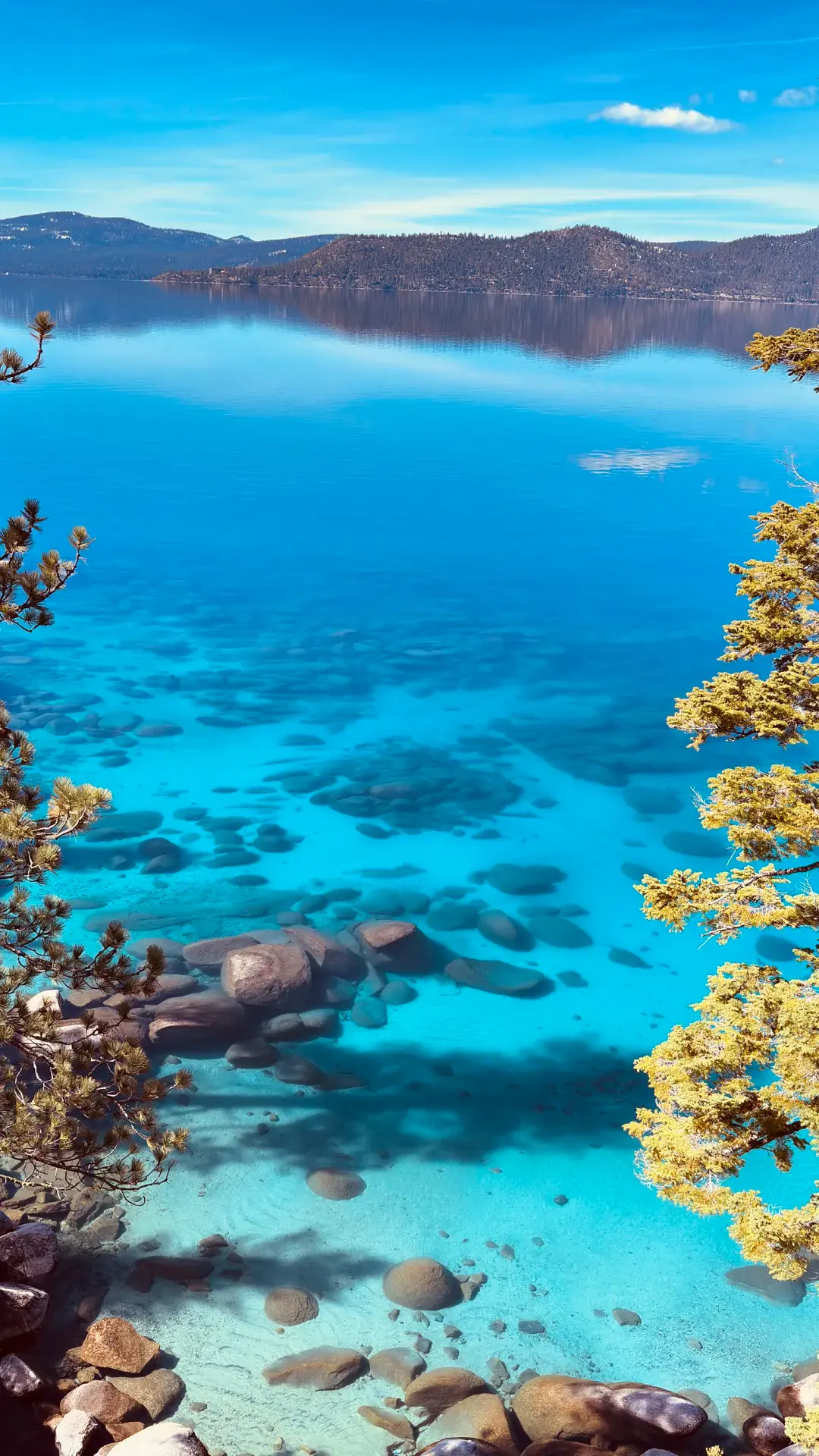 Lake Tahoe's Lake Light and Forest Shadows