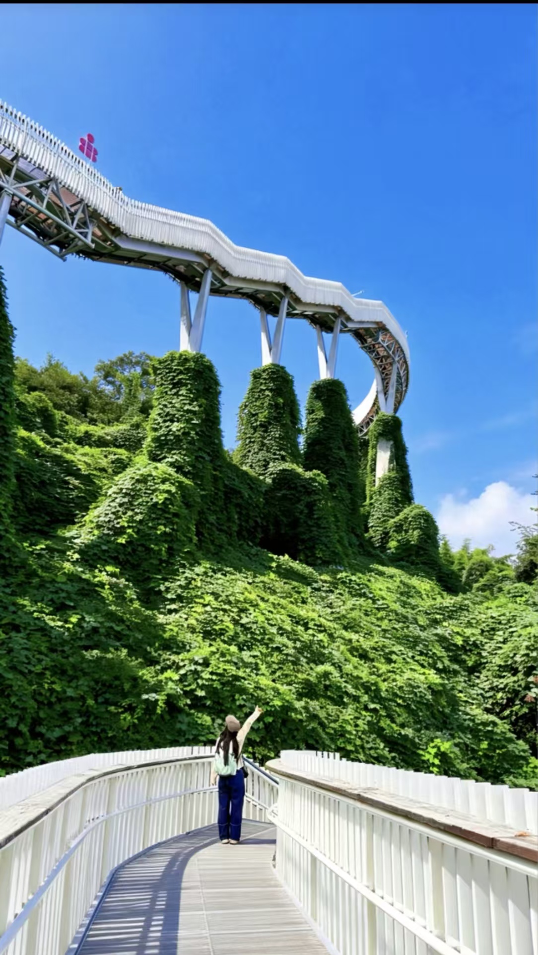 Only 0.5h from Chengdu! Direct bus access!  
Free 🆓 high-altitude forest skywalk 🌳  
Hike straight to the clouds ☁️ with a spectacular city view 👍  

Longquan Mountain Urban Forest Greenway Skywalk  
🎫 Ticket: Free 🆓  
🚌 Bus: Line 1 Guangfu Station Exit A2 / Line 6 Changgongyan Exit C, then transfer to T32 bus, get off at Yitian Deng Community Station  

🚗 For self-driving, you can navigate to either of these two places:  
🧭 Navigate to "Yujian Square" for free parking 🅿️  
Located at the foot of the mountain, about 3km hiking up, 6km round trip. You can also hike up and take a local ride down for 10 RMB.  
🧭 Navigate to "Longquan Mountain Urban Forest Park Tianfu New Area Hejiang Scenic Area" Parking fee 10 RMB 🅿️  
It takes about 20 minutes to walk slowly to the mountain top, a very photogenic spot~  
-  
Tips:  
✔️ The skywalk is hollowed out, be sure to hold your phone securely  
✔️ There are restrooms 🚾 along the way but not many; there is a self-service drink vending machine on the skywalk  
✔️ At the mid-mountain area, there are fried potatoes, wontons, cold noodles, drinks, and a restaurant 🉑 for rest and meals  

