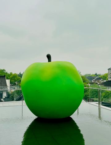 Exhibition in Suzhou｜Designed by Tadao Ando! The Healing Art