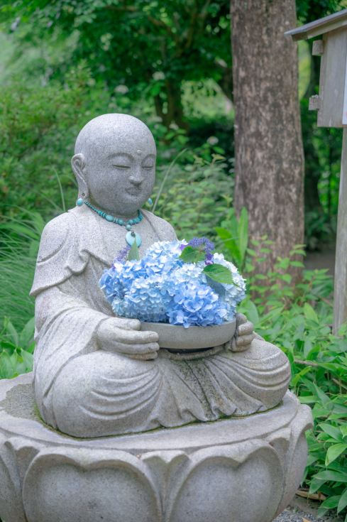 紫陽花が咲き誇るエンドレスサマー！この庭園は本当に写真映えします