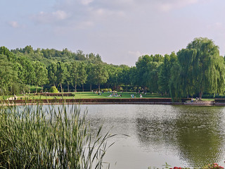 Shijiazhuang's Top Spot for Lotus Viewing | Nangaoji Park is in Full Bloom