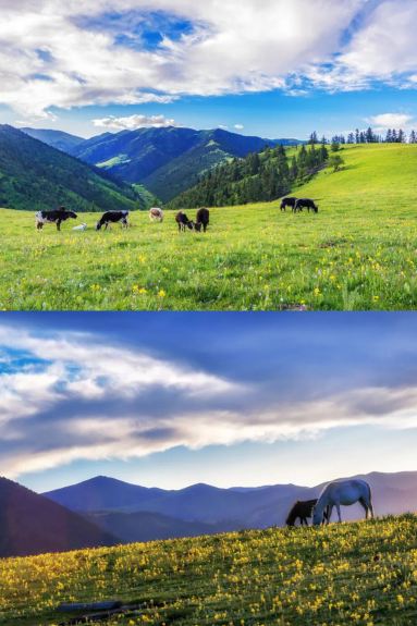 Riwoche: Canyons, hot springs, and elk—I want it all!
