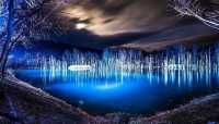 北海道8天6夜｜從大阪霓虹追到青池藍光