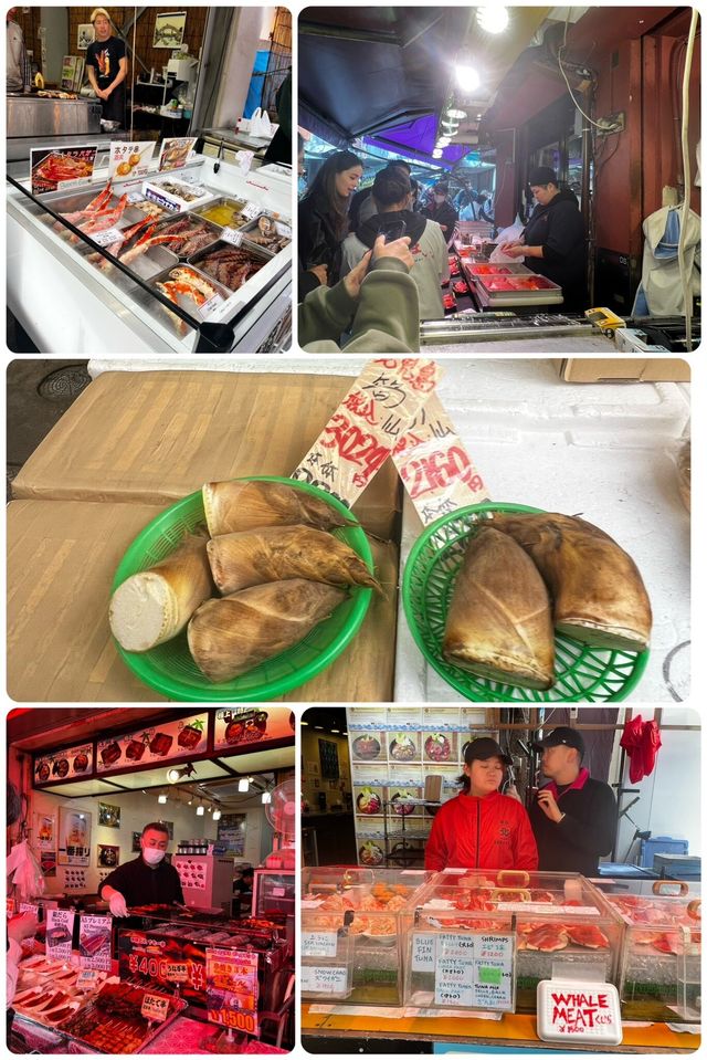 Vivid Experience at Tsukiji Fish Market