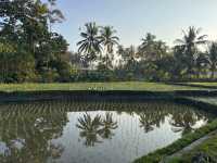 A Dream Stay Filled with Relaxation and Luxury