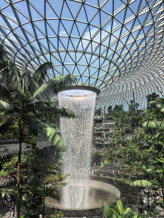 A lion city stroll where future and greenery intertwine. Driving from Changi Airport to the city, the scenery unfolds as the prelude to the "Garden City"—layers of rain trees and tropical flowers