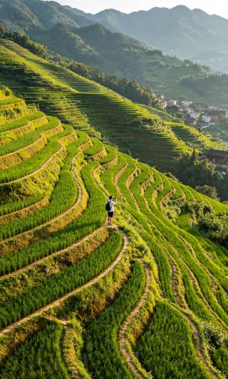 Photography Guide: Terraced Fields and Pastoral Vibes