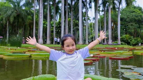 今年の国慶節、子供連れで行くならここ一択！シーサンパンナ・タイ族自治州 — traveler post in 勐臘
