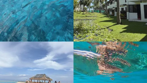 3-Day Seasonal Fiji Trip in October: Switching Between Coast and Culture — traveler post in Suva