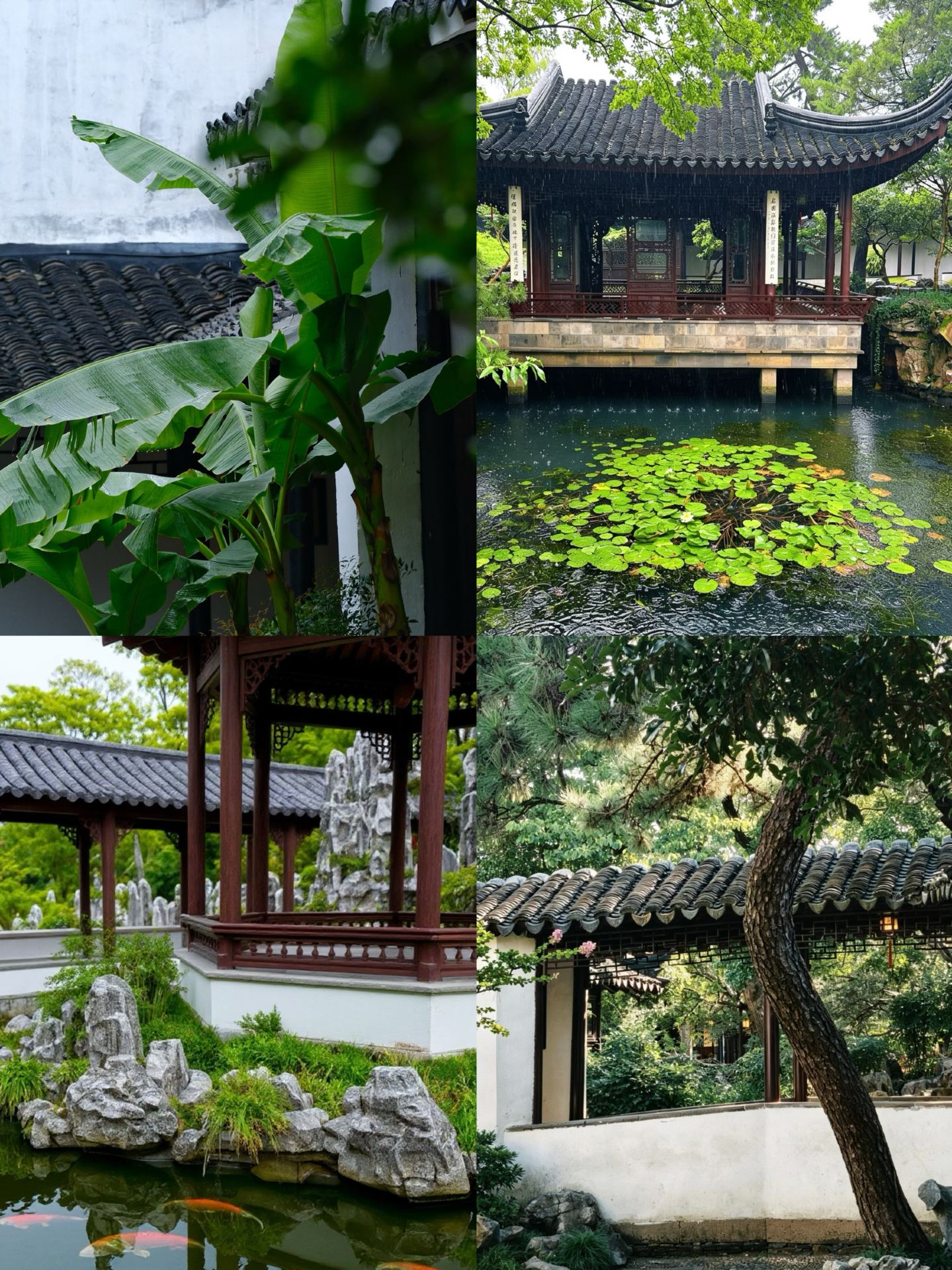 Chuyến đi thứ tám đến Thanh Châu! Cẩm nang du lịch hoàn chỉnh nhất của tôi, được người dân địa phương hết lời khen ngợi!