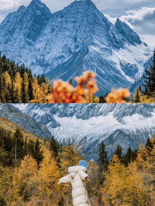 Tolong! Musim Gugur di Gunung Siguniang Cantiknya Kelewatan, Kalau Kelewat Harus Nunggu Setahun! 🍂