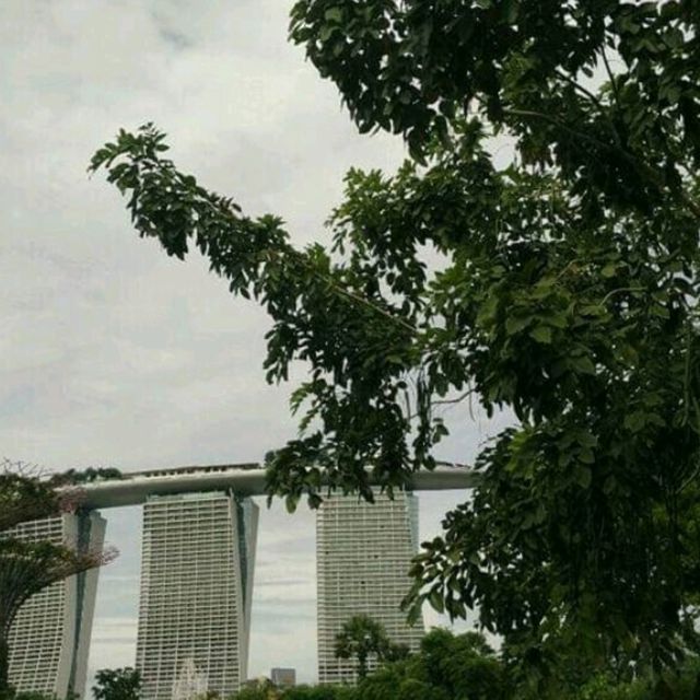 Gardens By The Bay