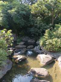 Hong Kong Wetland Park - Wetland and Marshes