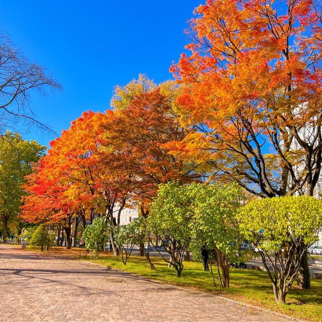 삿포로 오도리 공원 (3)