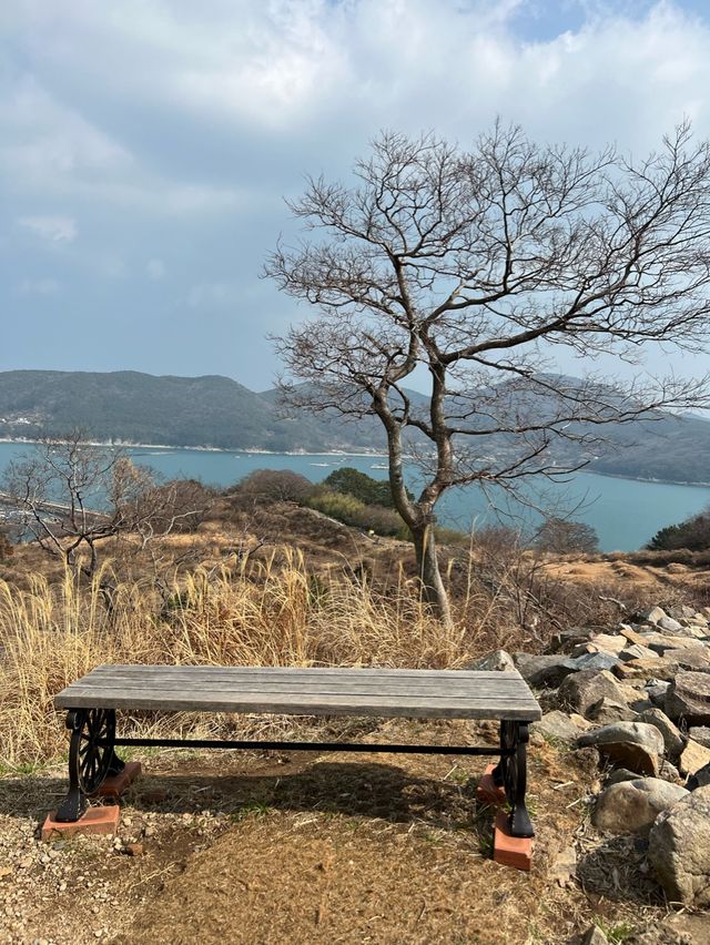 거제도여행에서 꼭 가봐야할 인생샷명소🤍 거제 구조라성