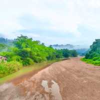 Riverside Palm Inn Sungai Lembing