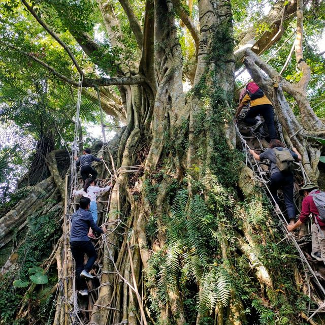 布農族原住民生活體驗