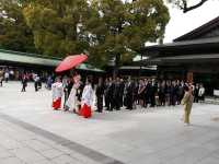 Meiji Shrine, calamity in the heart of Tokyo