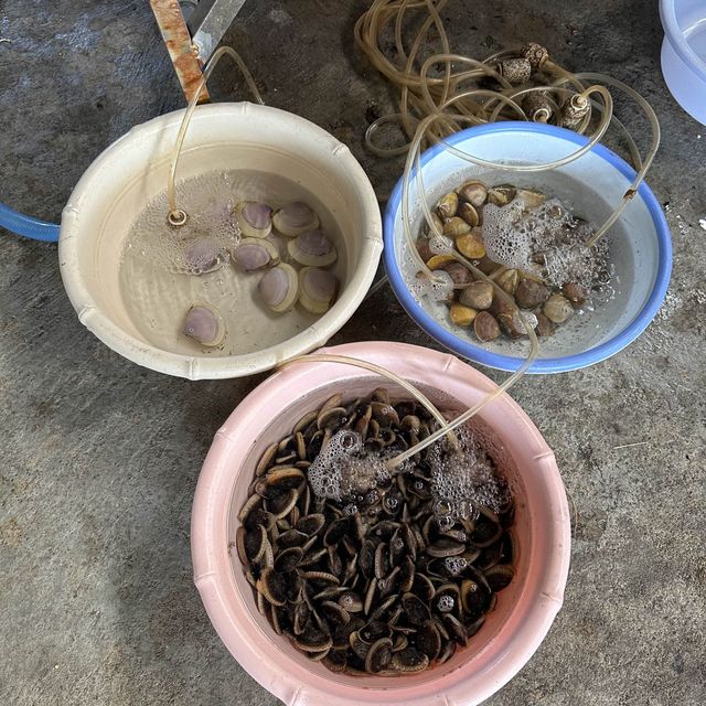 平靚正新鮮越南海鮮😋