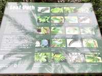 Journey through Hong Kong Gold Coast