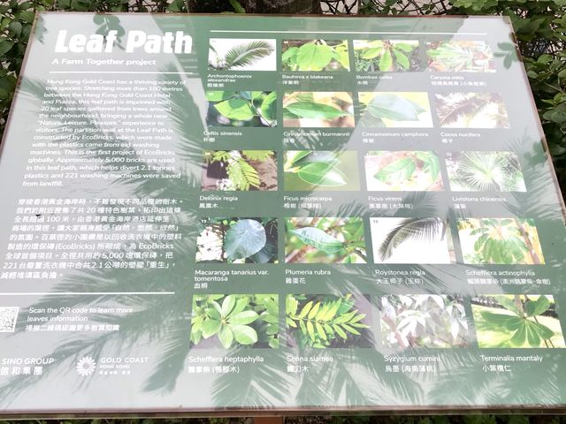 Journey through Hong Kong Gold Coast
